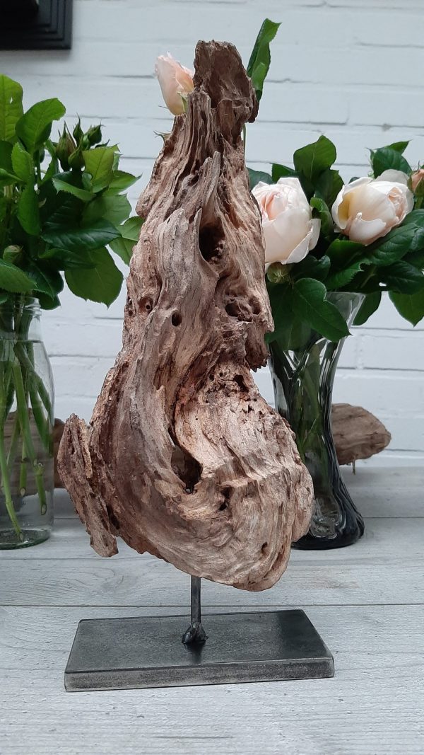 Natur-Kunst 1