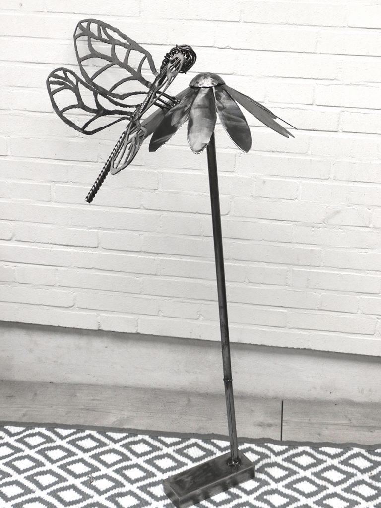 Dragonfly2 Ansichten
